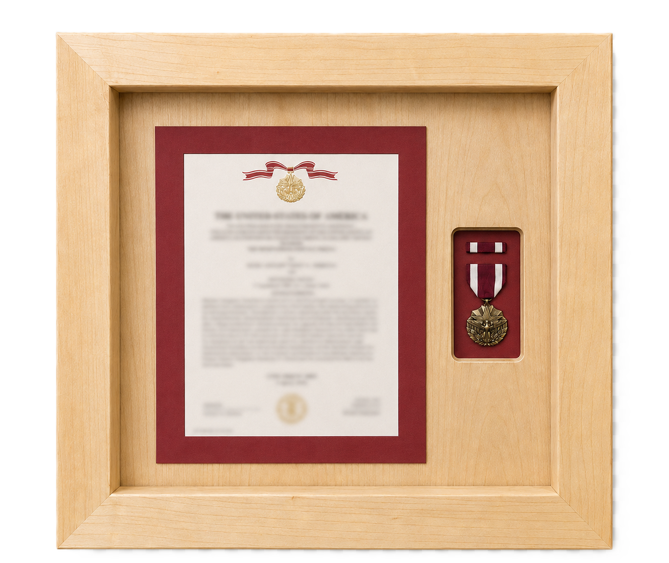 Custom Meritorious Service Medal (MSM) Award Display