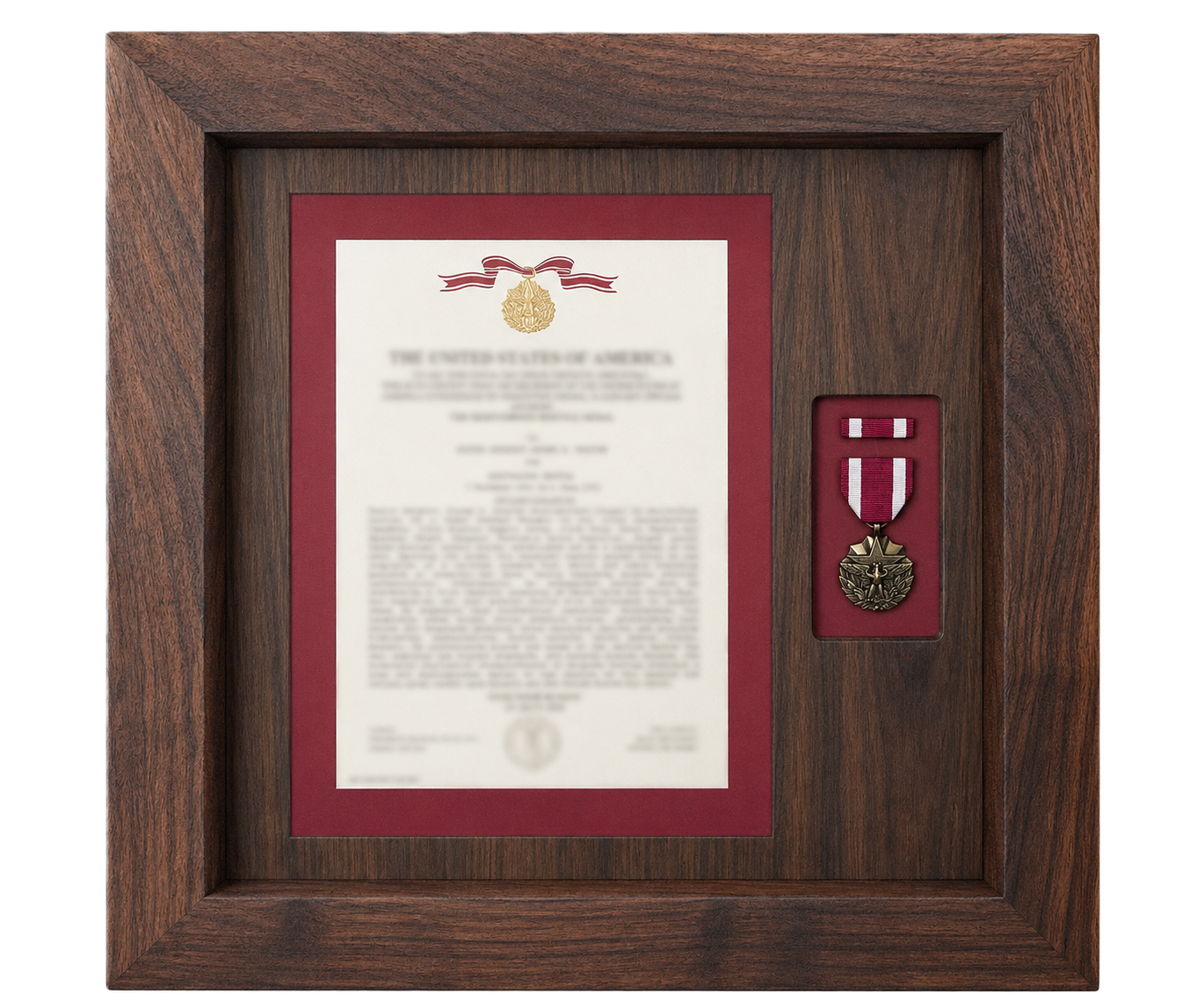 Custom Meritorious Service Medal (MSM) Award Display